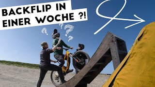 So habe ich den BACKFLIP IN 1 WOCHE AUF DIRT...