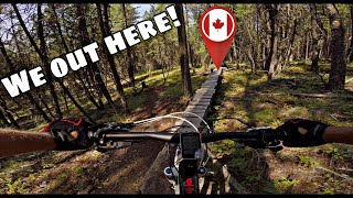 Cranbrook Forest || Hot Rocky Canadian Summer...