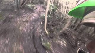 Quercia Numerata Raduno BagnoliBike
