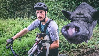 Jasper PRIVAT | Ein Tag in Hannover | SCHWEIN...