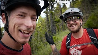 1. Mal auf Moped | STRAVA Jagd im Bachbett |...