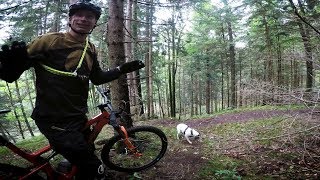 Downhill MIT DEM MARATHON BIKE | Traildog vs....