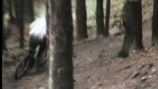 Jasper DH Schulenberg