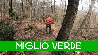 MTB Monte Morello 09.03.2024 sentiero MIGLIO VERDE
