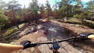 Mountain Bike Story Time | Work Life Balance
