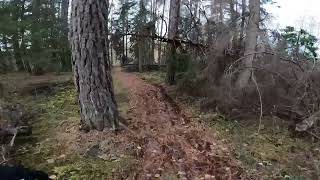 FlipperKulan