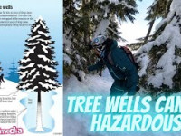 Uncovering Hazards: Tree Wells at...