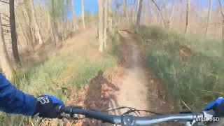 Turkey Point Advanced Trail: Pile Driver
