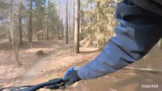 Turkey Point Intermediate Trail: Spinal tap