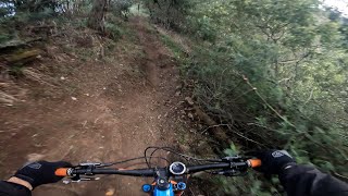 This TRAIL is so SICK