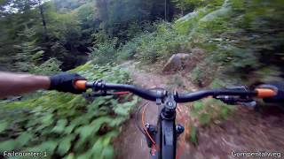 Let's Ride MTB - Heidelberg // Königstuhl -...