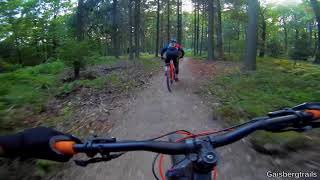 Let's Ride MTB - Heidelberg // Königstuhl -...