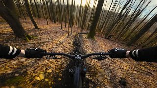 Shredding an AMAZING TRAIL with the fastest riders