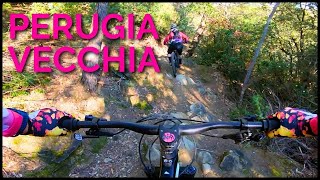 MTB Perugia Vecchia | Cinghiale - Scollatoio -...