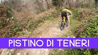 MTB Camaiore 23.03.2024 sentiero PISTINO di TENERI