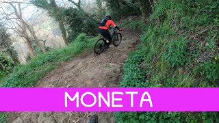 MTB Camaiore 23.03.2024 sentiero MONETA
