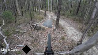 Kentlyn MTB Trails - Drop Bears and Magic Carpet