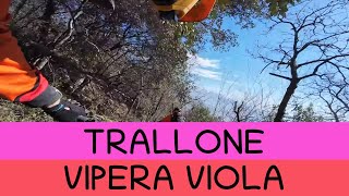 MTB Travalle 17.02.2023 Trallone / Vipera...