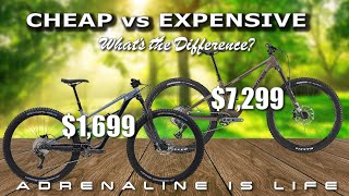 Cheap Mountain Bike vs expensive Mountain Bike...