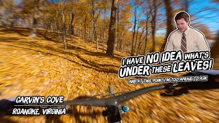 Leaf Peeping In Virginia