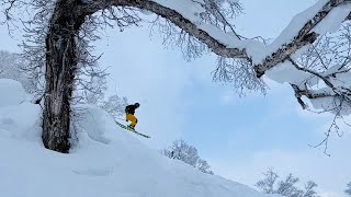 Japan Skiing