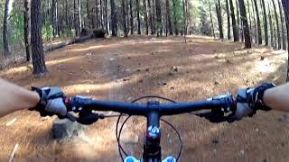 Kinross MTB Park (Hot For Teacher) 'Blue' -...