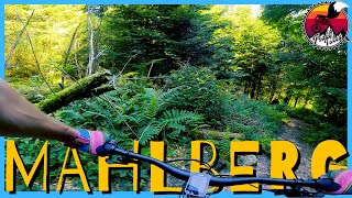 Mahlberg // Trail Tales // Santa Cruz 5010 v5