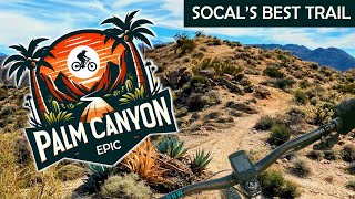 Palm Canyon Epic Guide - Cathedral Trail