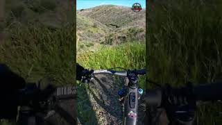 MTB Riding Sixth Sense, Ramblas, March 18,...