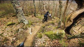 Masseto Trail