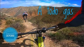 Descubriendo NUEVAS LÍNEAS en las PLANAS...