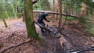 Sloping and Sliding at Forest Of Dean 