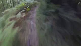 Smelly Run