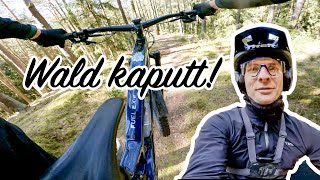 Warum machen die den Wald kaputt? POV staubige...