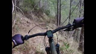 JAGERBIKERS - CESANE BIKE PARK : TRAIL 143 Cà...