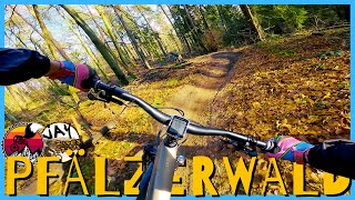 Near PERFECT Mid-Winter LOAM - Pfälzerwald //...