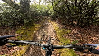 Pilot Rock in Pisgah after rain