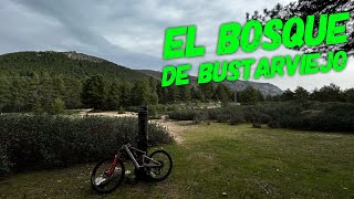 ‍♂️  El Bosque  | Bustarviejo (Madrid) |...