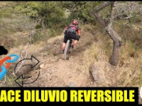 Enlace Diluvio a Reversible