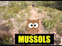 Mussols