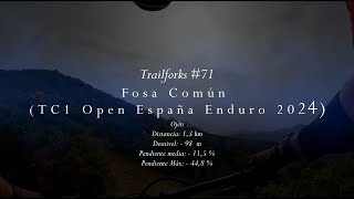 Trailforks #71 - Fosa Común (TC1 Open...