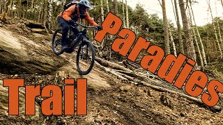 MTB Pfälzer Wald Trails Part I #122