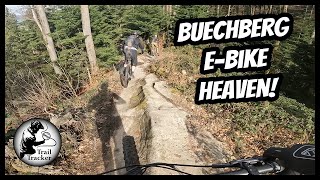 Buechberg - trails that flow up and down