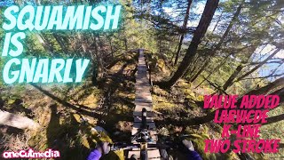 Squamish is Gnarly   Value Added, Larvicide,...