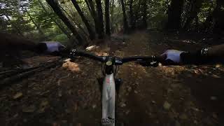 POGNO - TRAIL CANALONE