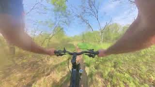 Avalon - Mtb Carso Trail