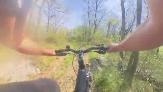 dolina Riselce - Sentieri MTB Carso
