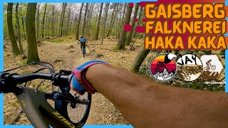 Heidelberg - KÖNIGSTUHL // Gaisbergtrail,...