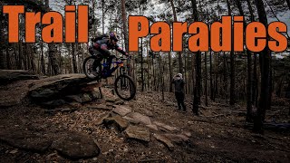 MTB Pfälzer Wald Trails Part II #123
