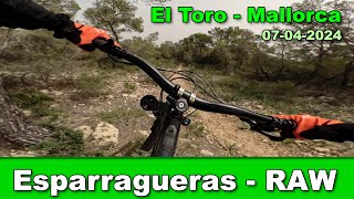 One of the best trails in El Toro, Esparragueras